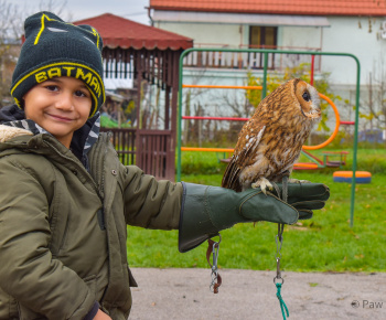 Materská škola - fotogaléria / Múdra sova. Enviromentálna výchova - zážitkové učenie 11.11.2022. - foto
