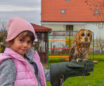 Materská škola - fotogaléria / Múdra sova. Enviromentálna výchova - zážitkové učenie 11.11.2022. - foto