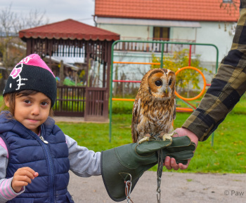 Materská škola - fotogaléria / Múdra sova. Enviromentálna výchova - zážitkové učenie 11.11.2022. - foto