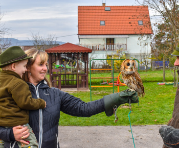 Materská škola - fotogaléria / Múdra sova. Enviromentálna výchova - zážitkové učenie 11.11.2022. - foto