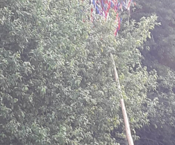 Aktuality / Pozvanie - rúcanie mája v Žihľave, v nedeľu 28.5. o 18.00 hod. - foto