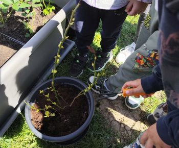 Materská škola - fotogaléria / Školská záhrada. - foto