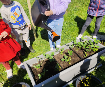 Materská škola - fotogaléria / Školská záhrada. - foto