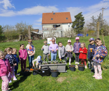 Materská škola - fotogaléria / Školská záhrada. - foto