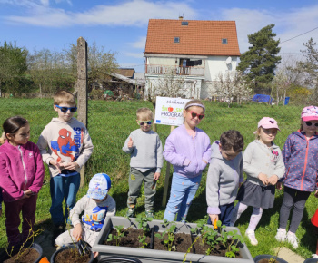 Materská škola - fotogaléria / Školská záhrada. - foto