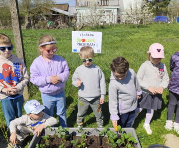 Materská škola - fotogaléria / Školská záhrada. - foto