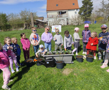 Materská škola - fotogaléria / Školská záhrada. - foto