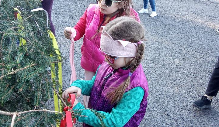Stavanie mája v Žihľave.