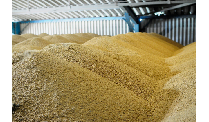 Oznam - nájomné za užívanie pôdy 2025 v naturálnej forme. Hydree Agro, PD Suché Brezovo.